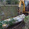 digger-handling-big-beech-log-2