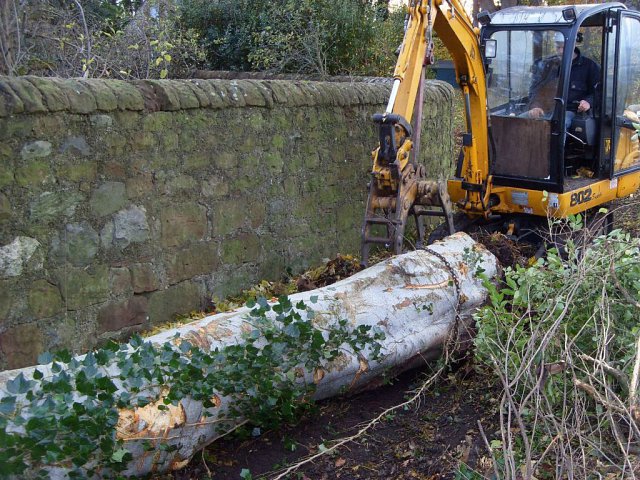 digger-handling-big-beech-log-2