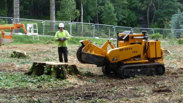 stumpgrinderapproachesstump