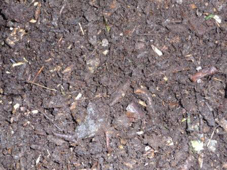 woodchips-after-1-year