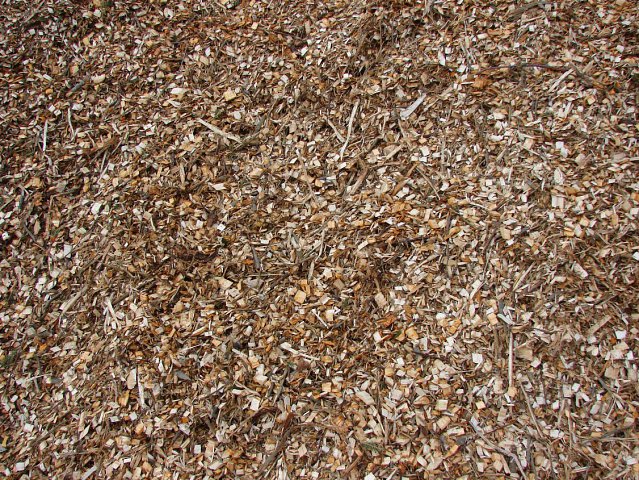 woodchips 1 week